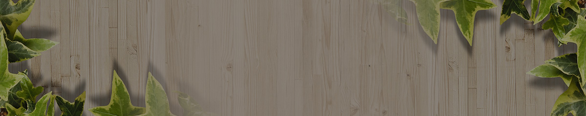 パル・ウィズ株式会社