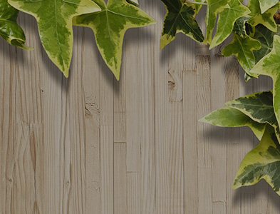 パル・ウィズ株式会社